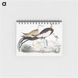 1-87_Indian-Zoology_memo