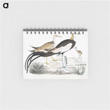 1-87_Indian-Zoology_memo