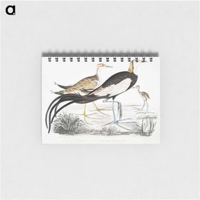 1-87_Indian-Zoology_memo