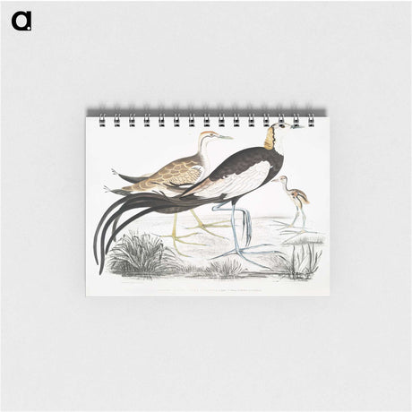 1-87_Indian-Zoology_memo