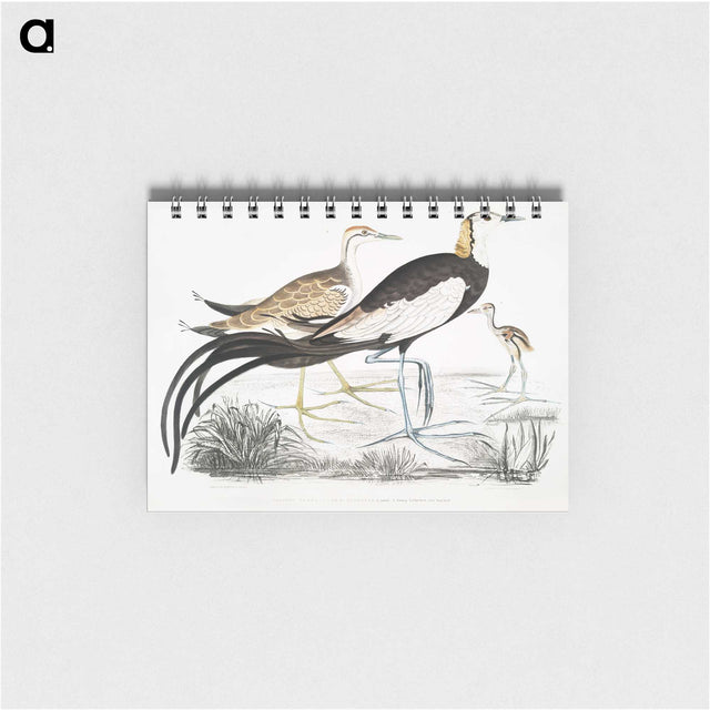 1-87_Indian-Zoology_memo