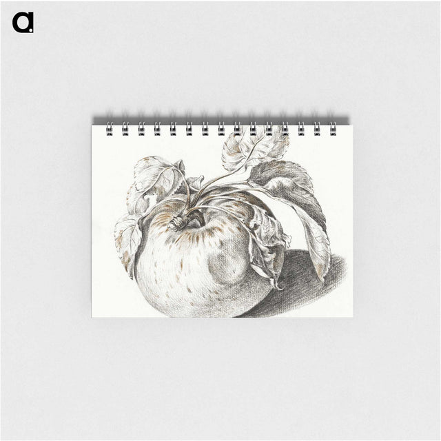 1-87_Jean-Bernard_memo