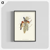 1-87_John-Gould_blk-crop