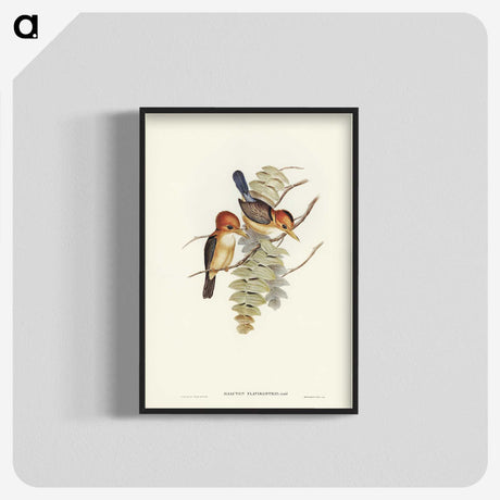 1-87_John-Gould_blk-crop