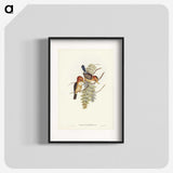 1-87_John-Gould_blk