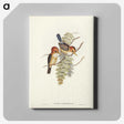 1-87_John-Gould_canvas