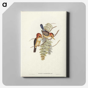 1-87_John-Gould_canvas