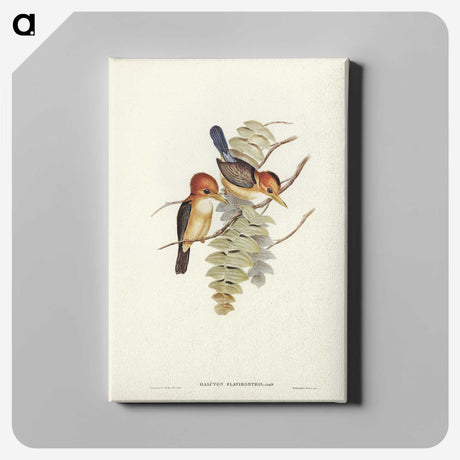 1-87_John-Gould_canvas