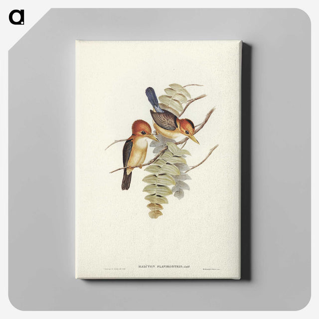 1-87_John-Gould_canvas