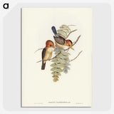 1-87_John-Gould_picture-crop