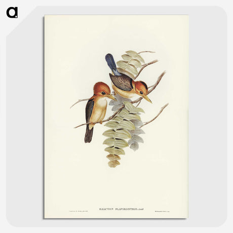 1-87_John-Gould_picture-crop