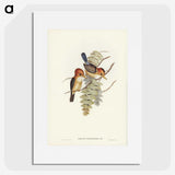 1-87_John-Gould_picture