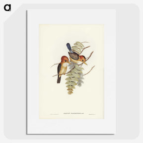 1-87_John-Gould_picture