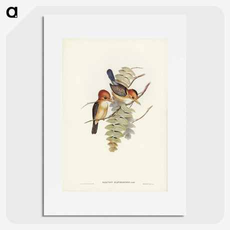 1-87_John-Gould_picture