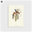 1-87_John-Gould_postcard