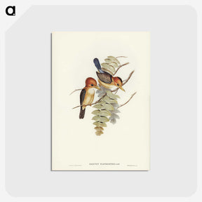 1-87_John-Gould_postcard