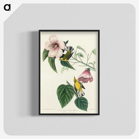 1-87_John-James-Audubon_blk-crop
