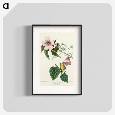 1-87_John-James-Audubon_blk
