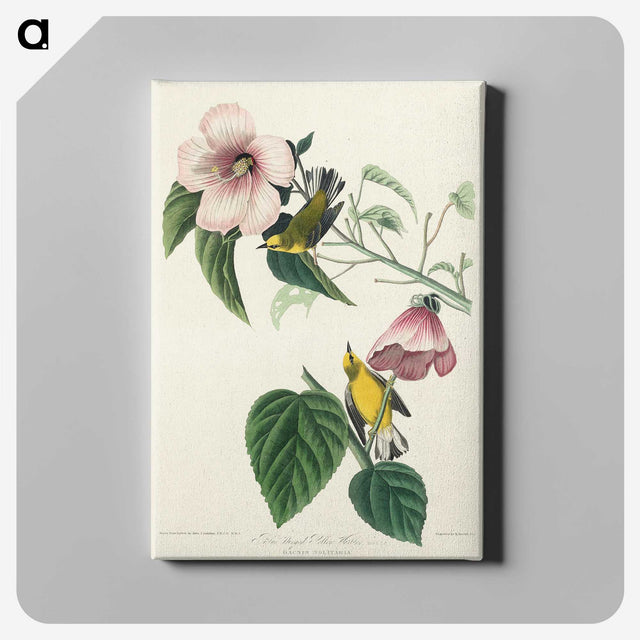 1-87_John-James-Audubon_canvas