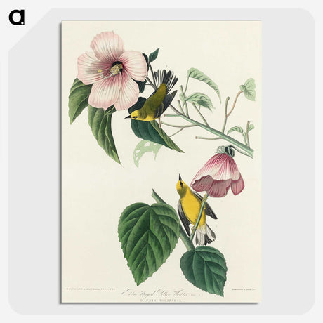 1-87_John-James-Audubon_picture-crop