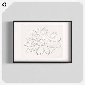 アートポスター-Flower, possibly a water lily - ユリー デ フラーハ Poster.