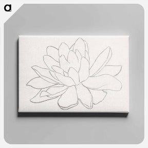 アートパネル-Flower, possibly a water lily - ユリー デ フラーハ Canvas.