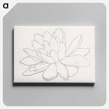Flower, possibly a water lily - Julie de Graag Canvas.