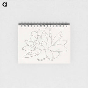 アートメモ帳-Flower, possibly a water lily - ユリー デ フラーハ Memo.