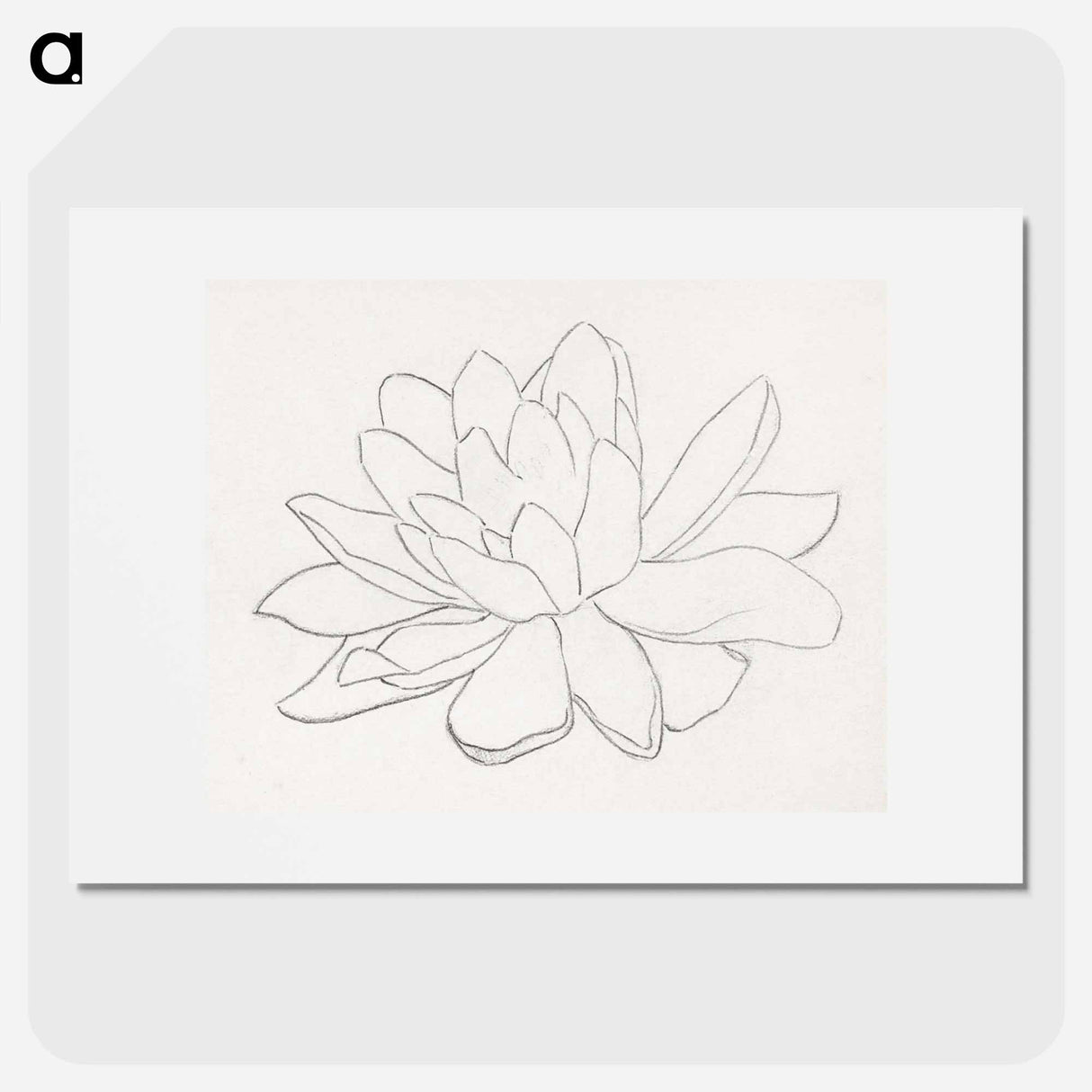 Flower, possibly a water lily - Julie de Grague Poster.