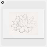 Flower, possibly a water lily - Julie de Grague Poster.