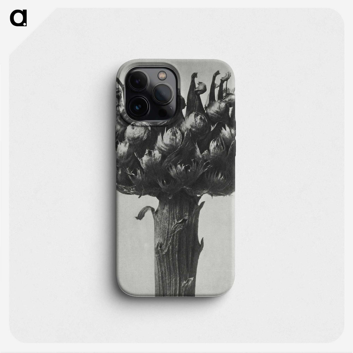 1-87_Karl-Blossfeldt_phone