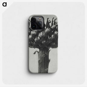 1-87_Karl-Blossfeldt_phone