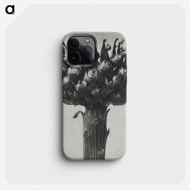 1-87_Karl-Blossfeldt_phone
