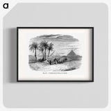 1-87_Les-Palmiers-Histoire-Iconographique_blk