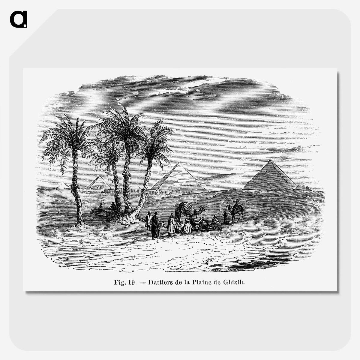 1-87_Les-Palmiers-Histoire-Iconographique_picture-crop