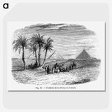 1-87_Les-Palmiers-Histoire-Iconographique_picture-crop