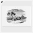 1-87_Les-Palmiers-Histoire-Iconographique_picture