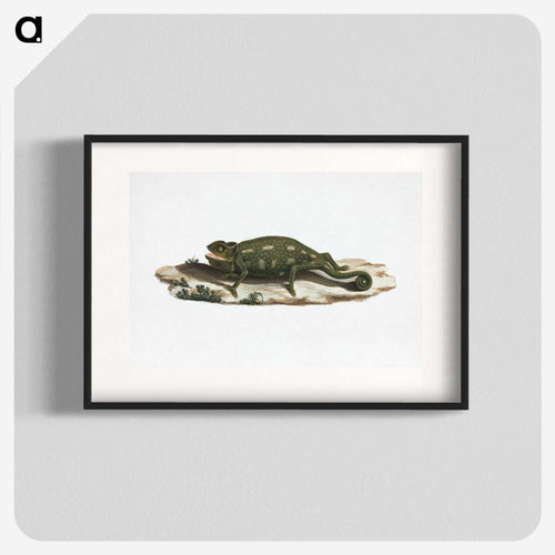 Unidentified Chameleon
 - ルイージ バルガーニ Poster.