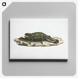 1-87_Luigi-Balugani_canvas