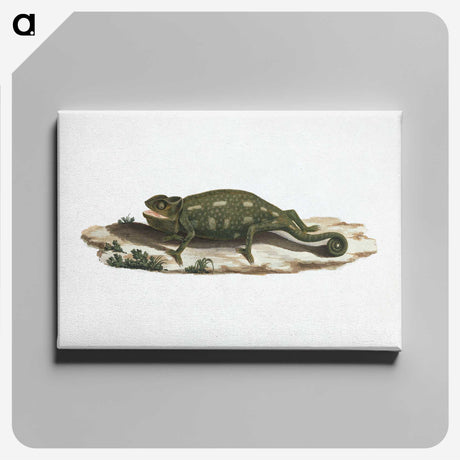 1-87_Luigi-Balugani_canvas