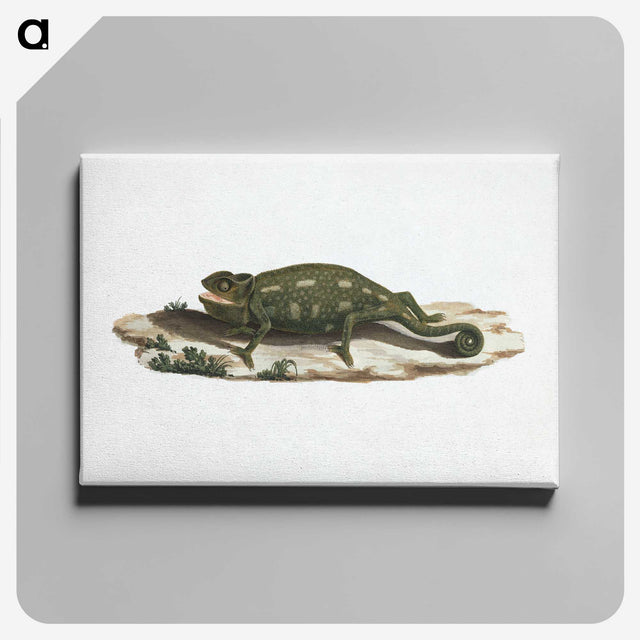 1-87_Luigi-Balugani_canvas