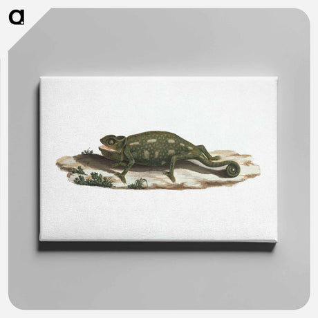 アートパネル-Unidentified Chameleon
 - ルイージ バルガーニ Canvas.