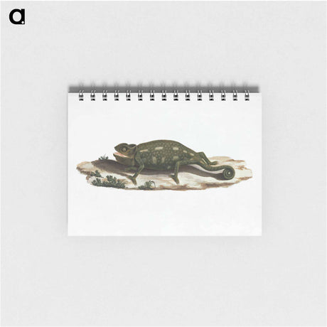 アートメモ帳-Unidentified Chameleon
 - ルイージ バルガーニ Memo.