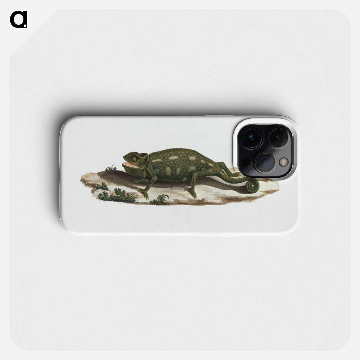 Unidentified Chameleon
 - ルイージ バルガーニ Phone Case.