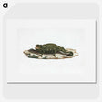 1-87_Luigi-Balugani_picture