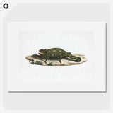 1-87_Luigi-Balugani_picture