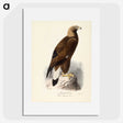 1-87_Magnus-von-Wright_picture