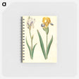 アートメモ帳-Iris Pallida and Iris Variegata
 - マリア ジビーラ メーリアン Memo.