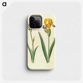 1-87_Maria-Sibylla-Merian_phone