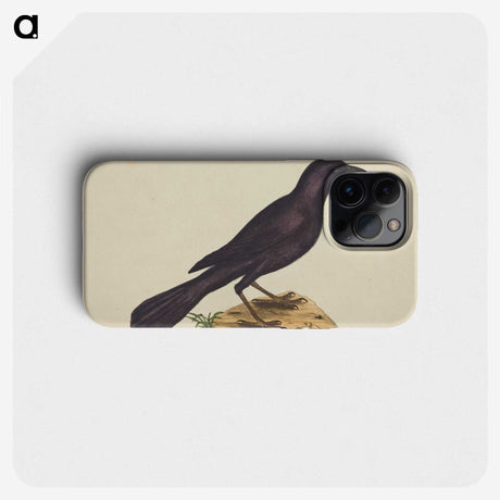 1-87_Mark-Catesby_phone
